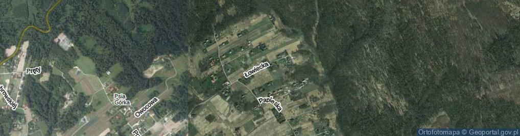 Zdjęcie satelitarne Łowiecka ul.